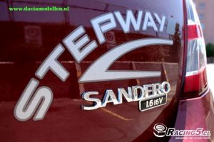 stepway-naam-op-achterzijde-van-de-klep-logo