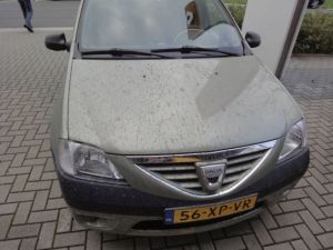 Puzzelrit Munsterhuis 2014