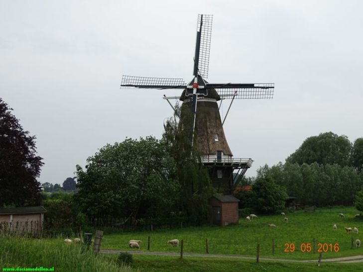 Puzzelrit Oving en Dacia Club Nederland