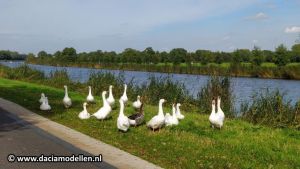 Puzzelrit Munsterhuis Oktober 2017