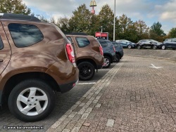 Puzzelrit Dorzo 2018