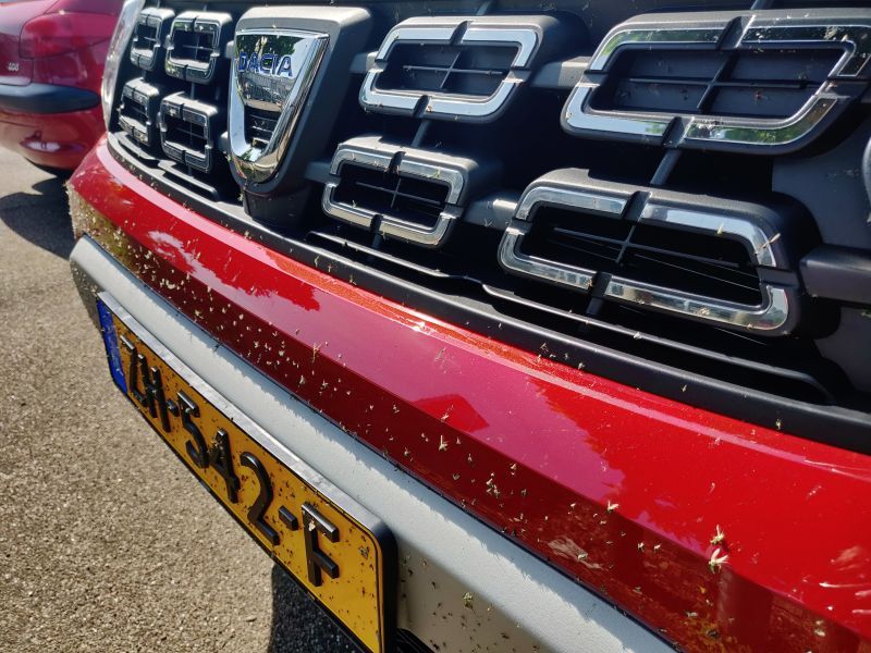 Proefrit Duster TCe130 Bochane Arnhem 2019