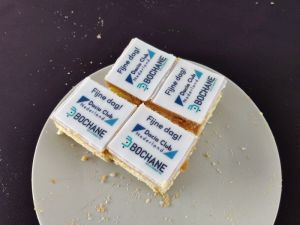 Puzzelrit Bochane Arnhem 2019