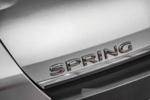 Dacia Spring in Amsterdam