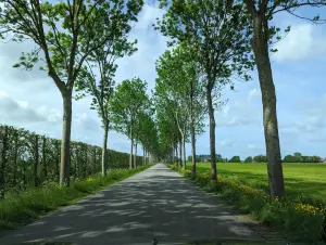 Stokman 2022 Puzzelrit