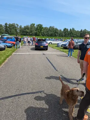 Daciast tijdens EMWalhalla