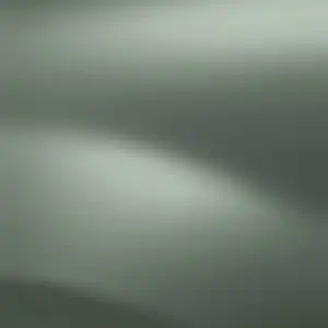 Lichen Kaki (Metallic)