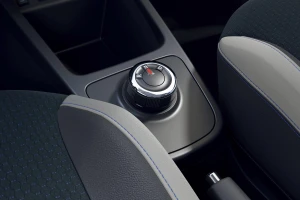 Spring Electric 2020